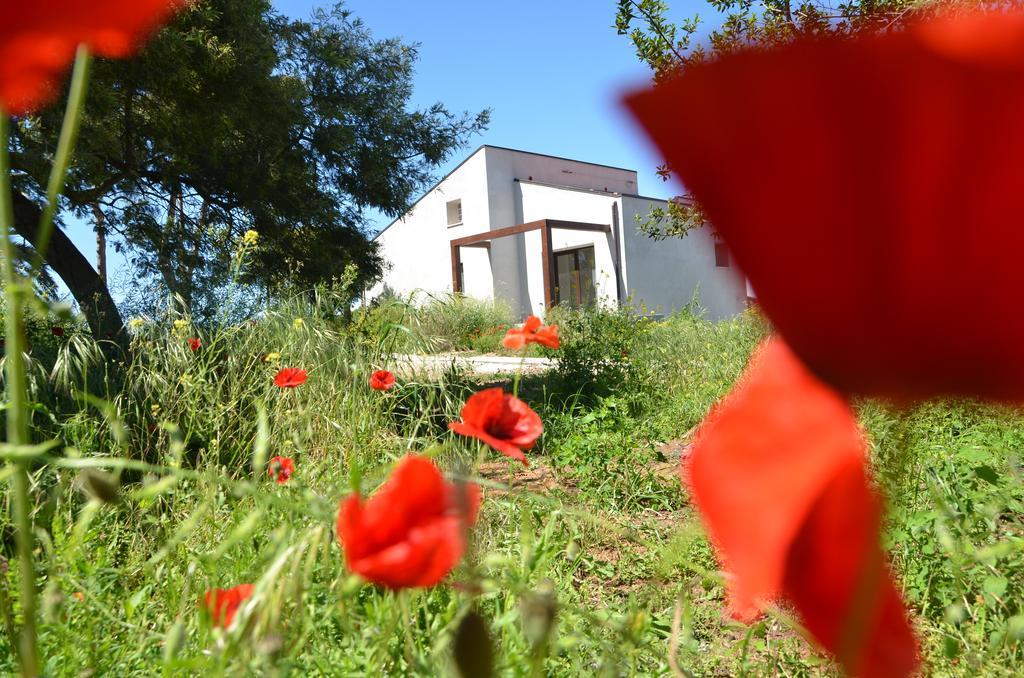Appartamento Le CaRaMeLle di Baratti Esterno foto
